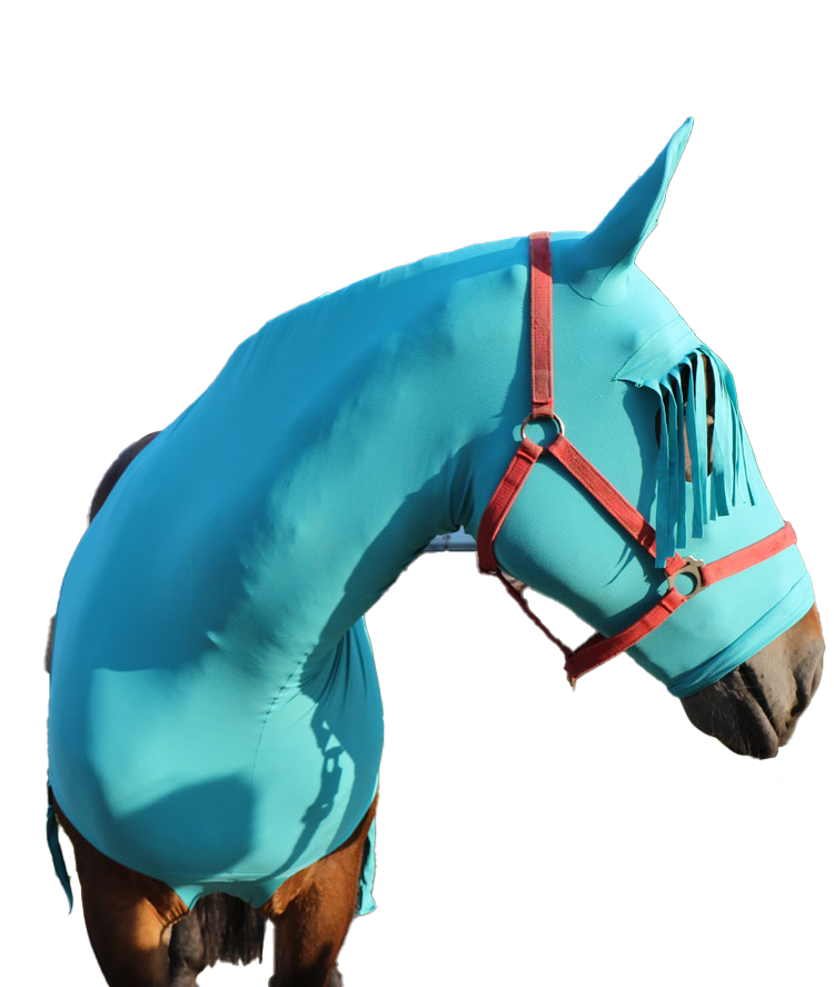 Hoved- og halsforbinding med frynser på øjne. Str. S/Pony